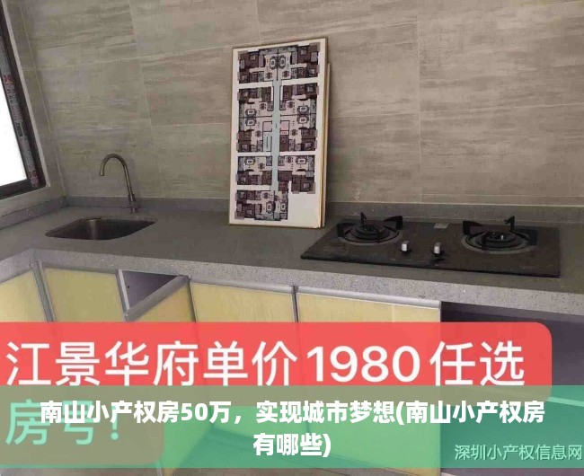 南山小产权房50万，实现城市梦想(南山小产权房有哪些)
