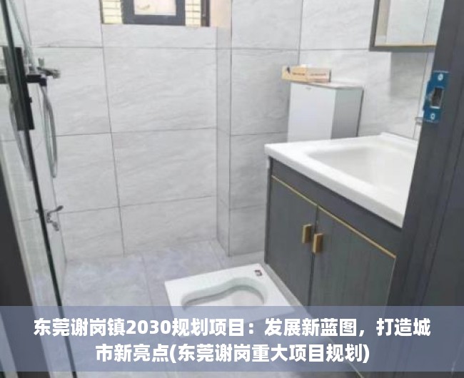 东莞谢岗镇2030规划项目：发展新蓝图，打造城市新亮点(东莞谢岗重大项目规划)