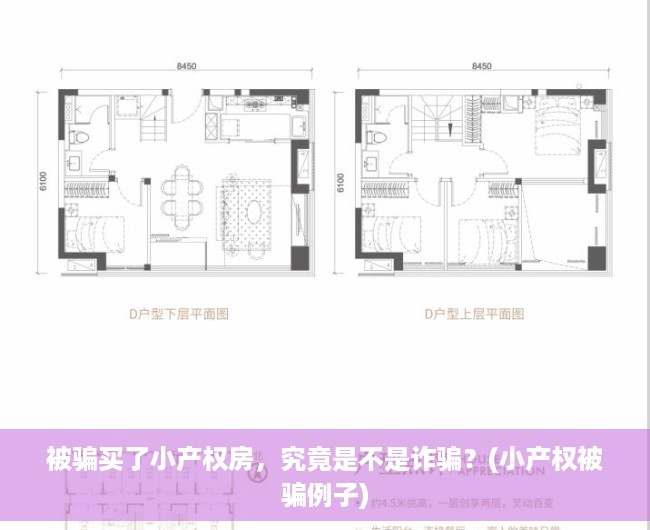 被骗买了小产权房，究竟是不是诈骗？(小产权被骗例子)