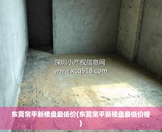东莞常平新楼盘最低价(东莞常平新楼盘最低价格) 东莞常平新楼盘最低价(东莞常平新楼盘最低价格)