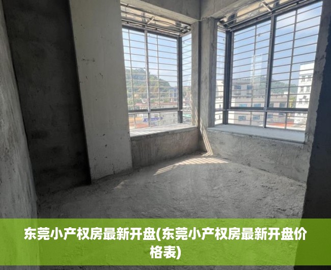 东莞小产权房最新开盘(东莞小产权房最新开盘价格表) 东莞小产权房最新开盘(东莞小产权房最新开盘价格表)