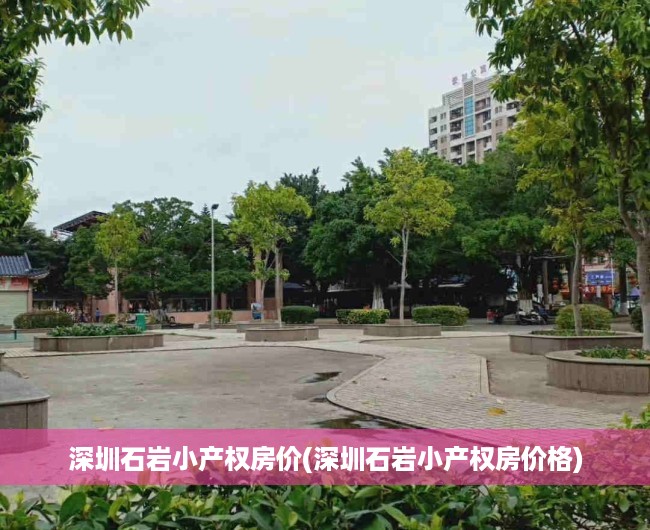 深圳石岩小产权房价(深圳石岩小产权房价格) 深圳石岩小产权房价(深圳石岩小产权房价格)