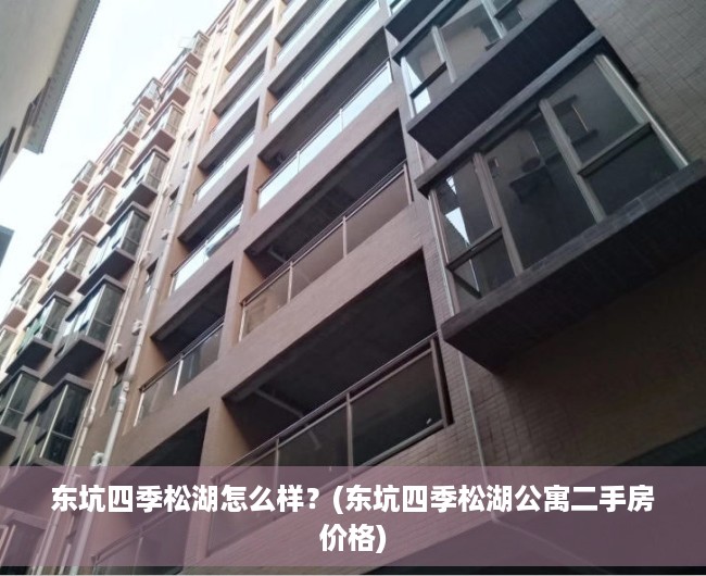 东坑四季松湖怎么样？(东坑四季松湖公寓二手房价格)