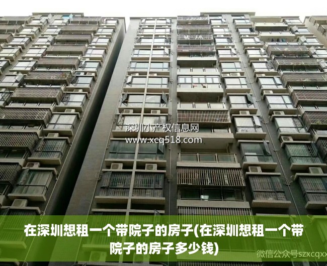 在深圳想租一个带院子的房子(在深圳想租一个带院子的房子多少钱)