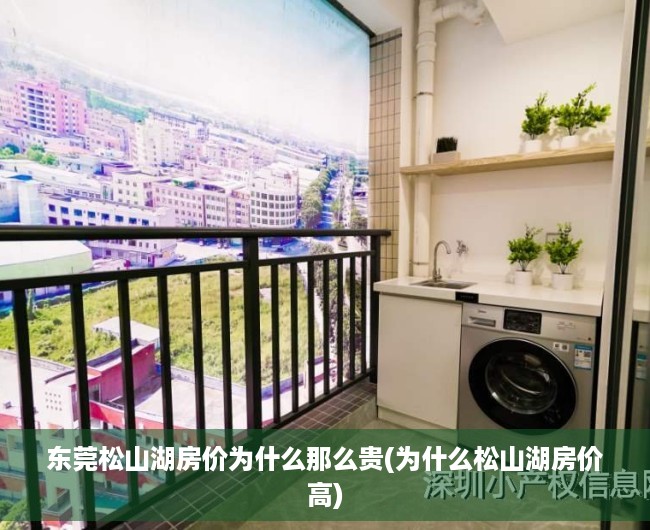 东莞松山湖房价为什么那么贵(为什么松山湖房价高) 东莞松山湖房价为什么那么贵(为什么松山湖房价高)