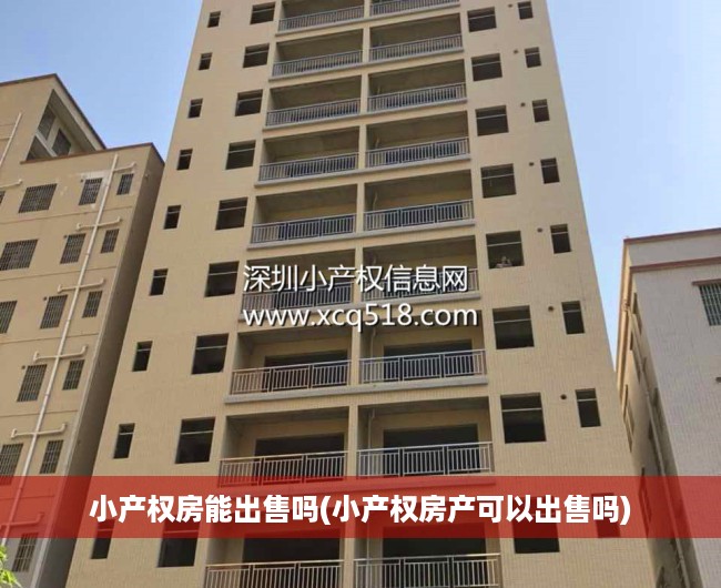 小产权房能出售吗(小产权房产可以出售吗) 小产权房能出售吗(小产权房产可以出售吗)
