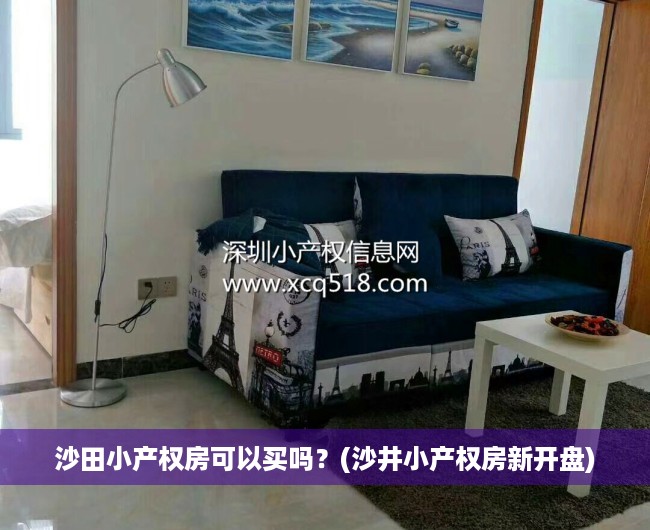 沙田小产权房可以买吗?(沙井小产权房新开盘) 沙田小产权房可以买吗?(沙井小产权房新开盘)