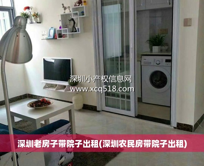 深圳老房子带院子出租(深圳农民房带院子出租)