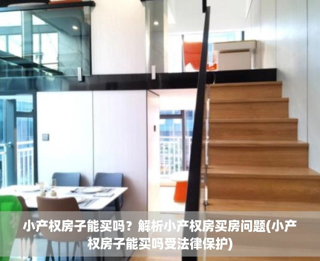 小产权房子能买吗？解析小产权房买房问题(小产权房子能买吗受法律保护)