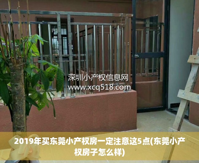 2019年买东莞小产权房一定注意这5点(东莞小产权房子怎么样)