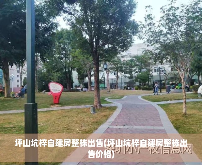 坪山坑梓自建房整栋出售(坪山坑梓自建房整栋出售价格) 坪山坑梓自建房整栋出售(坪山坑梓自建房整栋出售价格)