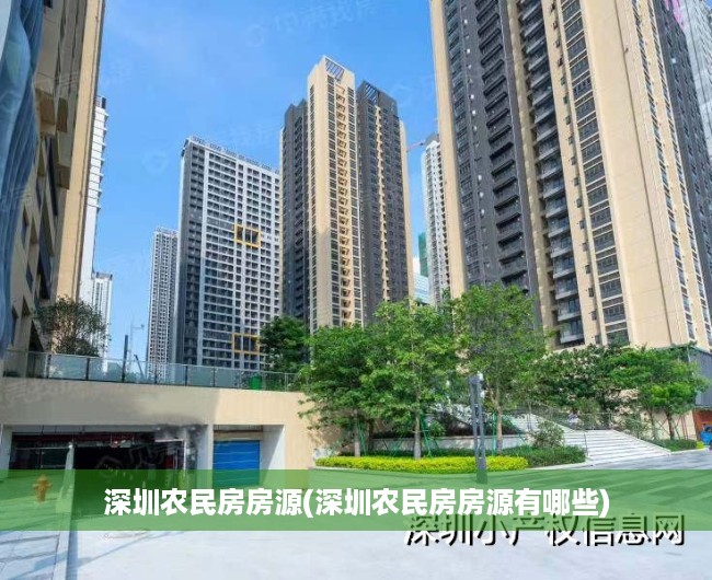 深圳农民房房源(深圳农民房房源有哪些)