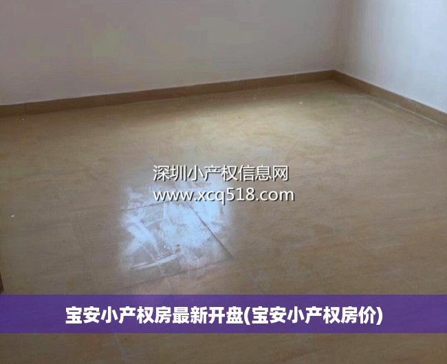 宝安小产权房最新开盘(宝安小产权房价) 宝安小产权房最新开盘(宝安小产权房价)