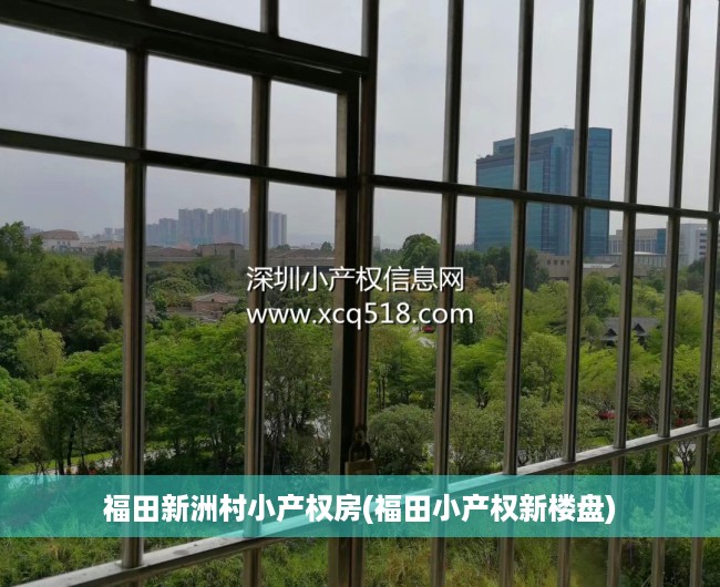 福田新洲村小产权房(福田小产权新楼盘) 福田新洲村小产权房(福田小产权新楼盘)