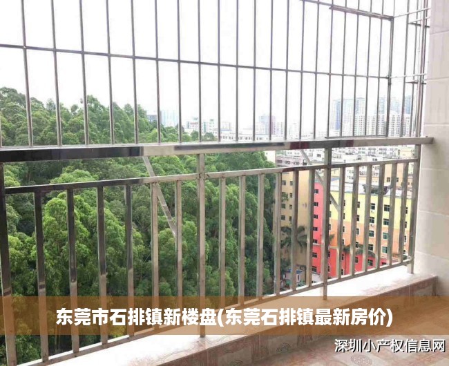 东莞市石排镇新楼盘(东莞石排镇最新房价) 东莞市石排镇新楼盘(东莞石排镇最新房价)