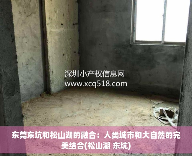 东莞东坑和松山湖的融合：人类城市和大自然的完美结合(松山湖 东坑)