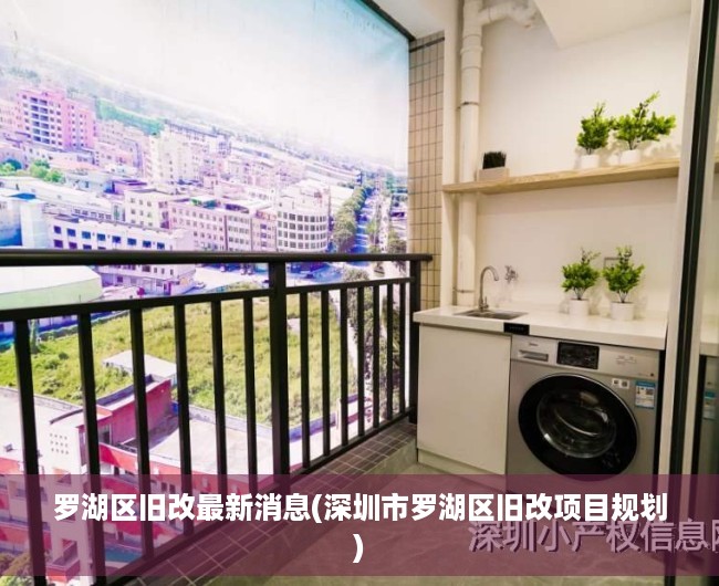 罗湖区旧改最新消息(深圳市罗湖区旧改项目规划)