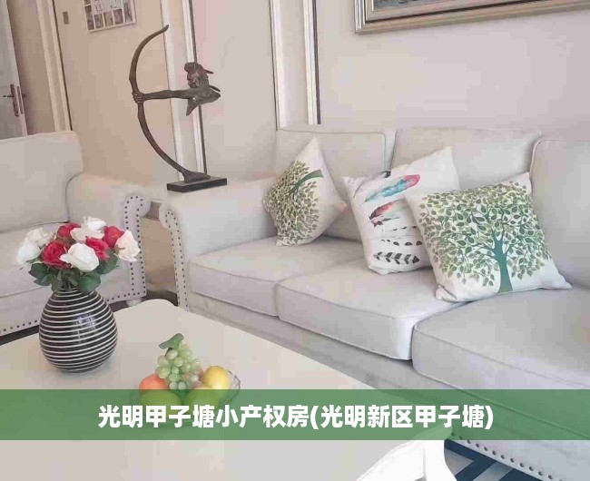 光明甲子塘小产权房(光明新区甲子塘) 光明甲子塘小产权房(光明新区甲子塘)