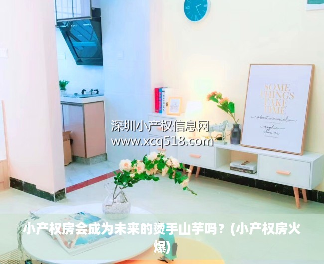 小产权房会成为未来的烫手山芋吗？(小产权房火爆)