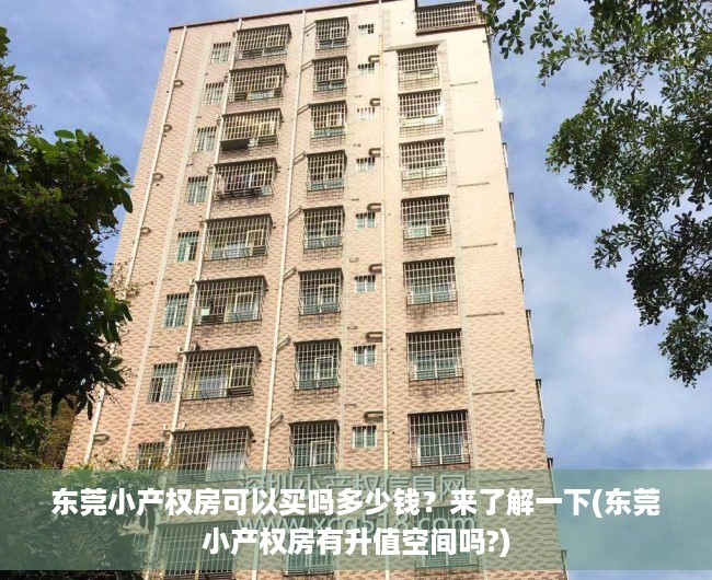 东莞小产权房可以买吗多少钱？来了解一下(东莞小产权房有升值空间吗?)