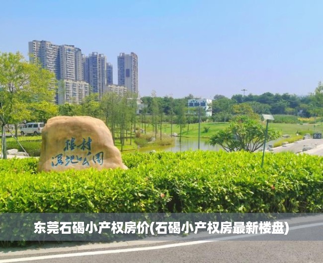 东莞石碣小产权房价(石碣小产权房最新楼盘) 东莞石碣小产权房价(石碣小产权房最新楼盘)