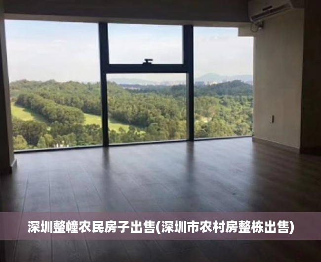 深圳整幢农民房子出售(深圳市农村房整栋出售)