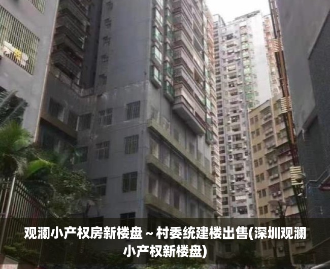 观澜小产权房新楼盘～村委统建楼出售(深圳观澜小产权新楼盘)
