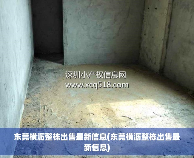东莞横沥整栋出售最新信息(东莞横沥整栋出售最新信息) 东莞横沥整栋出售最新信息(东莞横沥整栋出售最新信息)