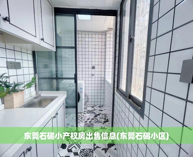 东莞石碣小产权房出售信息(东莞石碣小区) 东莞石碣小产权房出售信息(东莞石碣小区)