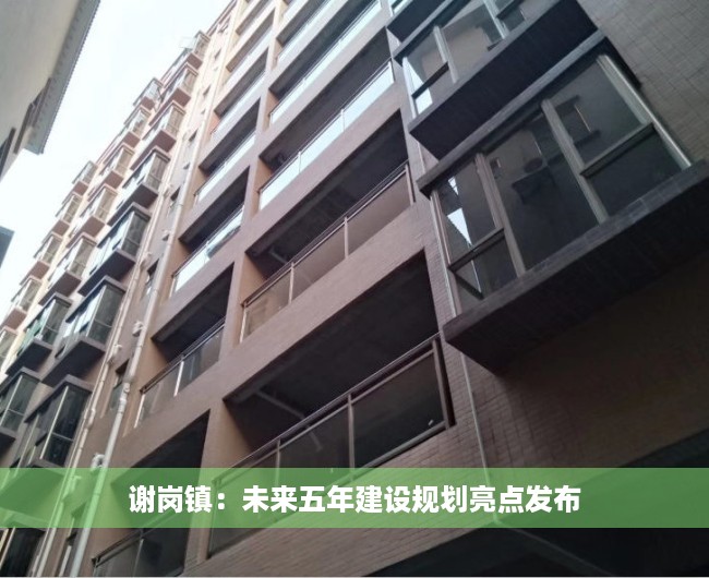谢岗镇：未来五年建设规划亮点发布
