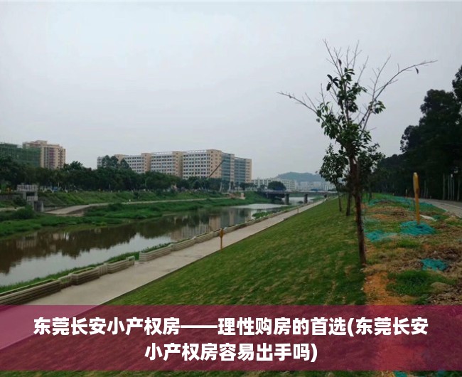 东莞长安小产权房——理性购房的首选(东莞长安小产权房容易出手吗)