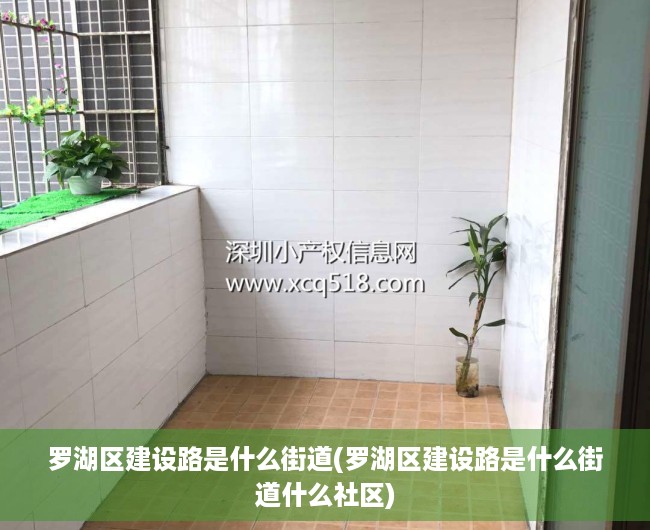 罗湖区建设路是什么街道(罗湖区建设路是什么街道什么社区) 罗湖区建设路是什么街道(罗湖区建设路是什么街道什么社区)