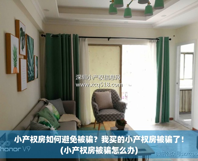 小产权房如何避免被骗？我买的小产权房被骗了！(小产权房被骗怎么办)
