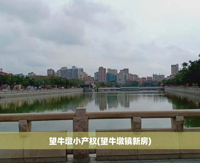 望牛墩小产权(望牛墩镇新房) 望牛墩小产权(望牛墩镇新房)
