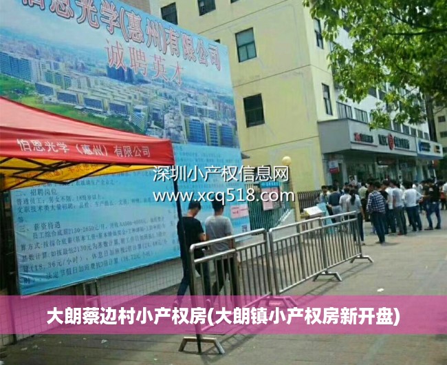 大朗蔡边村小产权房(大朗镇小产权房新开盘) 大朗蔡边村小产权房(大朗镇小产权房新开盘)