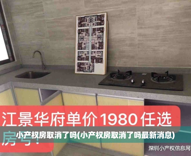 小产权房取消了吗(小产权房取消了吗最新消息)