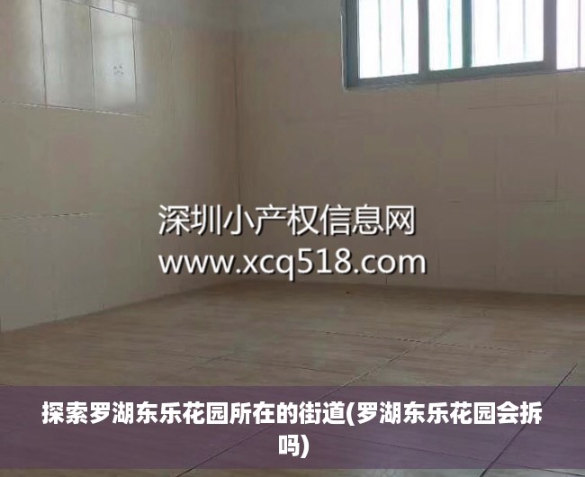 探索罗湖东乐花园所在的街道(罗湖东乐花园会拆吗)