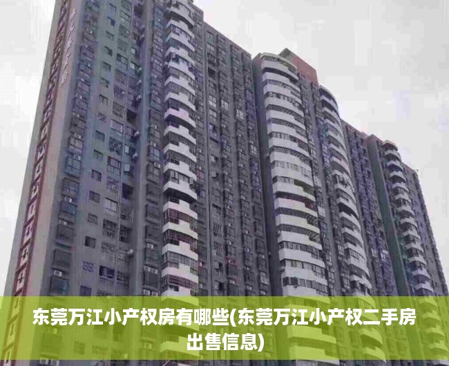 东莞万江小产权房有哪些(东莞万江小产权二手房出售信息)