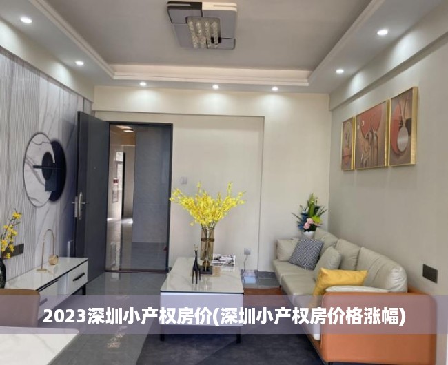 2023深圳小产权房价(深圳小产权房价格涨幅)