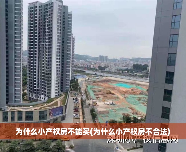 为什么小产权房不能买(为什么小产权房不合法)