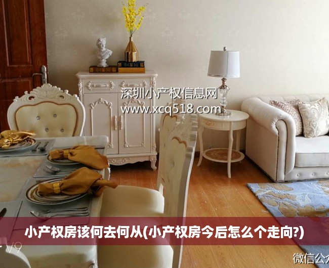 小产权房该何去何从(小产权房今后怎么个走向?) 小产权房该何去何从(小产权房今后怎么个走向?)