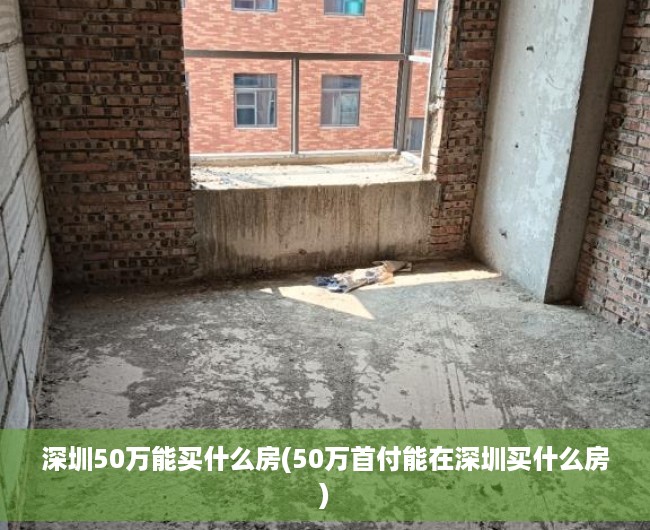 深圳50万能买什么房(50万首付能在深圳买什么房) 深圳50万能买什么房(50万首付能在深圳买什么房)