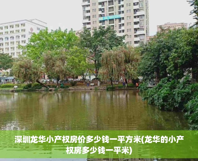 深圳龙华小产权房价多少钱一平方米(龙华的小产权房多少钱一平米) 深圳龙华小产权房价多少钱一平方米(龙华的小产权房多少钱一平米)
