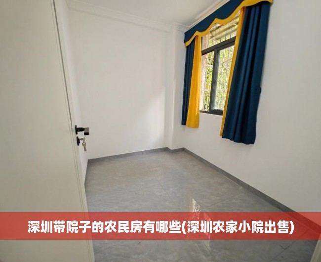 深圳带院子的农民房有哪些(深圳农家小院出售)