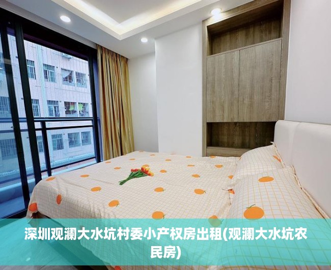 深圳观澜大水坑村委小产权房出租(观澜大水坑农民房)