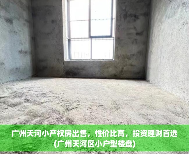 广州天河小产权房出售，性价比高，投资理财首选(广州天河区小户型楼盘)