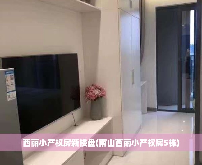 西丽小产权房新楼盘(南山西丽小产权房5栋) 西丽小产权房新楼盘(南山西丽小产权房5栋)