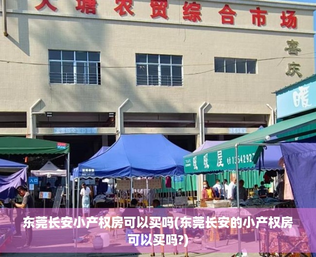 东莞长安小产权房可以买吗(东莞长安的小产权房可以买吗?) 东莞长安小产权房可以买吗(东莞长安的小产权房可以买吗?)