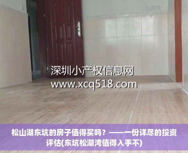 松山湖东坑的房子值得买吗？——一份详尽的投资评估(东坑松湖湾值得入手不)