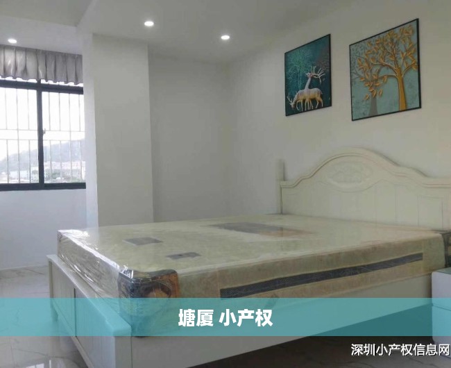 塘厦 小产权 塘厦 小产权